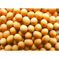 soyabean meal for animal feed